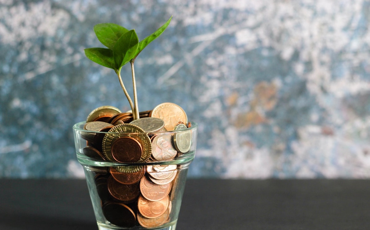 Photo of a glass vase with a small plant growing in it, but instead of soil, the vase is filled with coins.