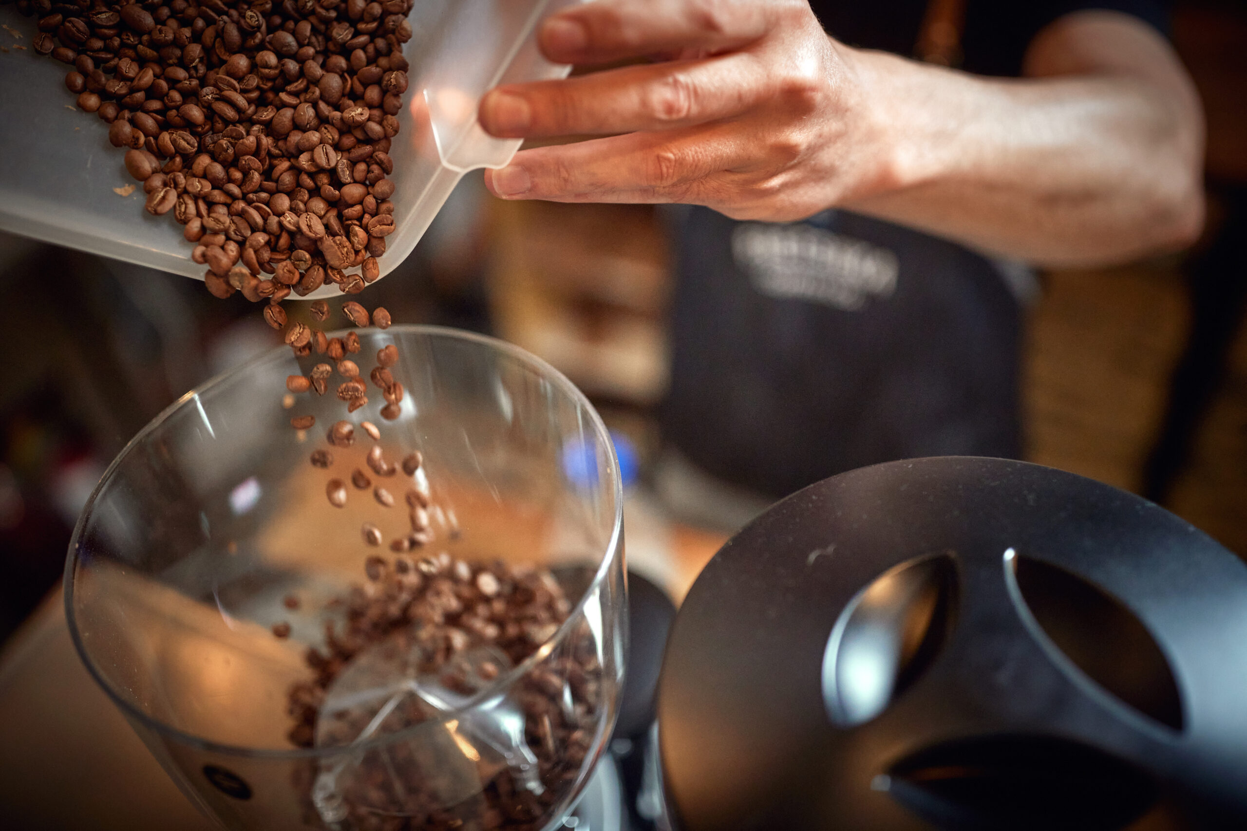 Close-up of barman hands holding a container and pouring fragrant and aromatic coffee beans into a grinder apparatus. Coffee, beverage, producing